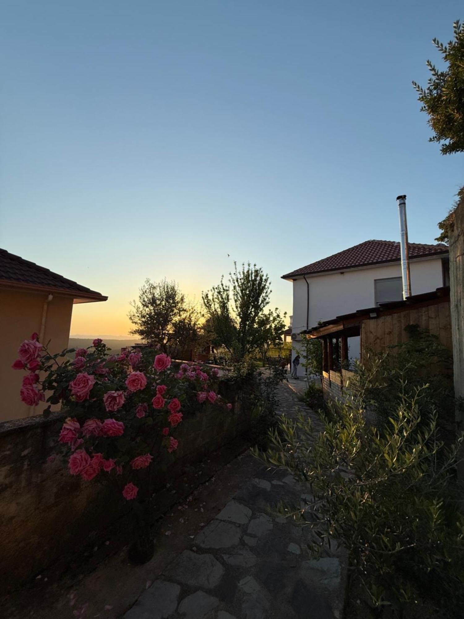 Meti Guest House Krujë Extérieur photo